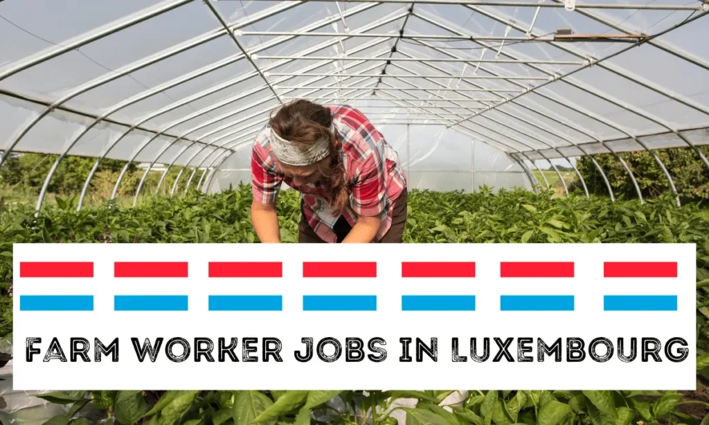 Farm Worker Jobs in Luxembourg with Visa Sponsorship