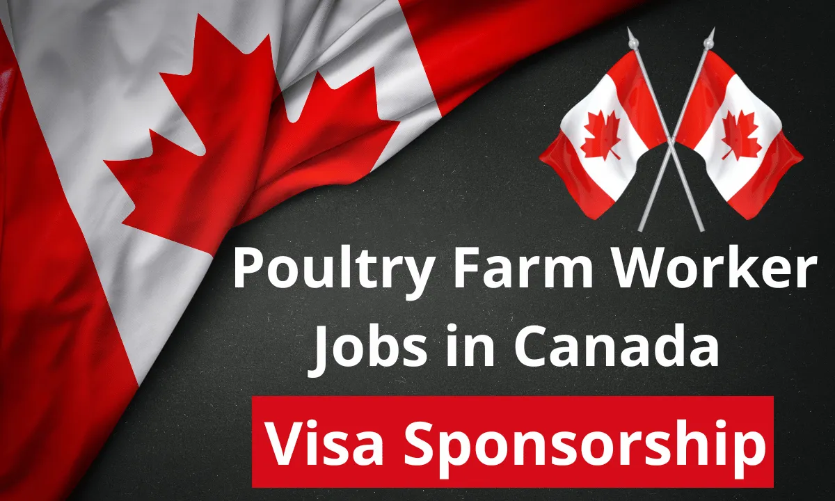 Poultry Farm Worker Jobs in Canada with Visa Sponsorship
