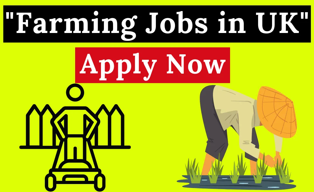 Farming Jobs in UK for International Workers with Visa Sponsorship