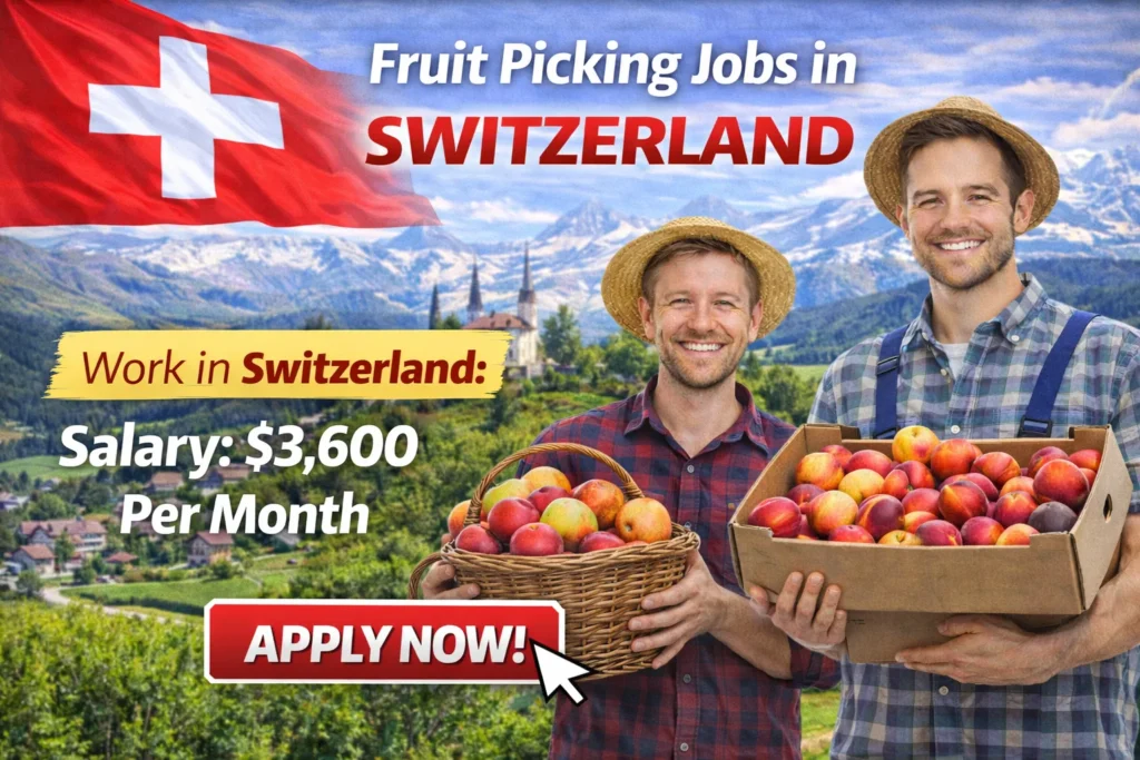 Fruit Picking Jobs in Switzerland for Foreigners 2026