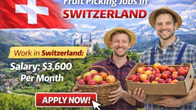 Fruit Picking Jobs in Switzerland for Foreigners 2026