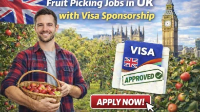 Fruit Picking Jobs in UK with Visa Sponsorship 2026