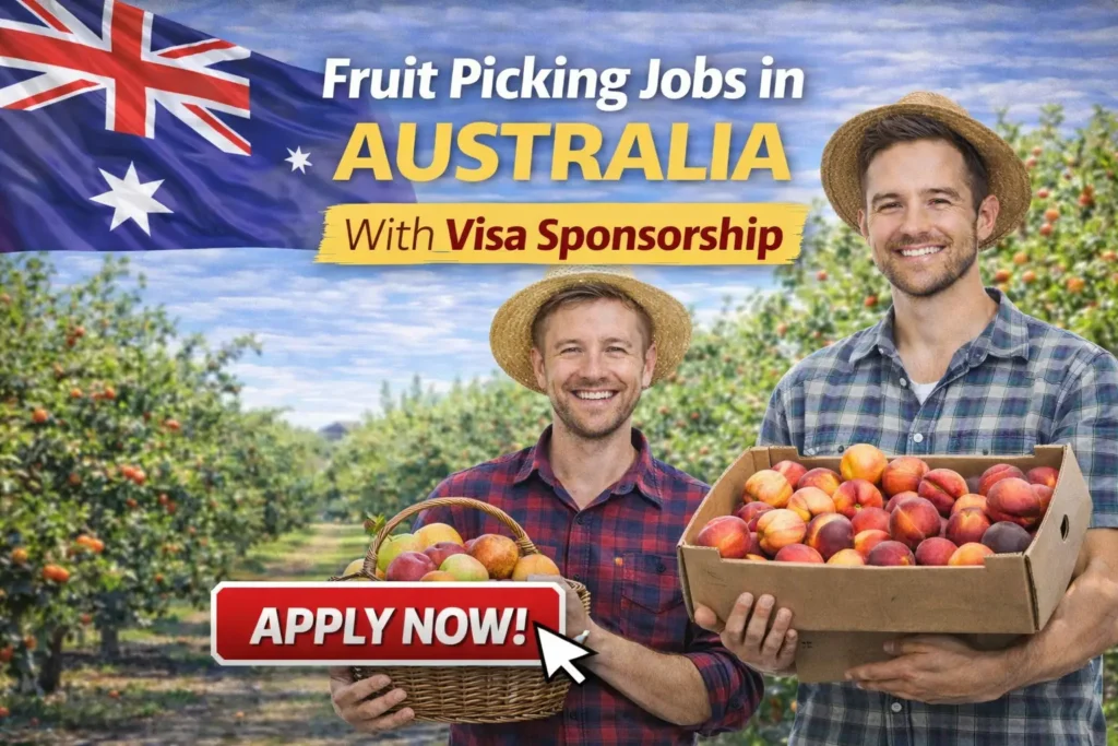 Fruit Picking Jobs in Australia With Visa Sponsorship 2026