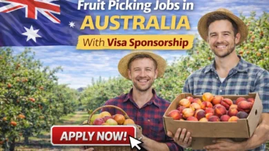 Fruit Picking Jobs in Australia With Visa Sponsorship 2026