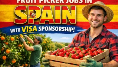 Fruit Picker Jobs in Spain with Visa Sponsorship 2026