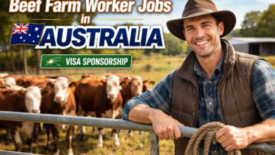 Beef Farm Worker Jobs in Australia with Visa Sponsorship 2026