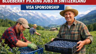 Blueberry Picking Jobs in Switzerland 2026 with Visa Sponsorship