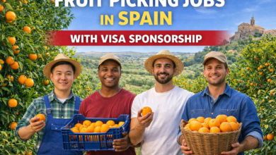 Fruit Picking Jobs in Spain with Visa Sponsorship 2026