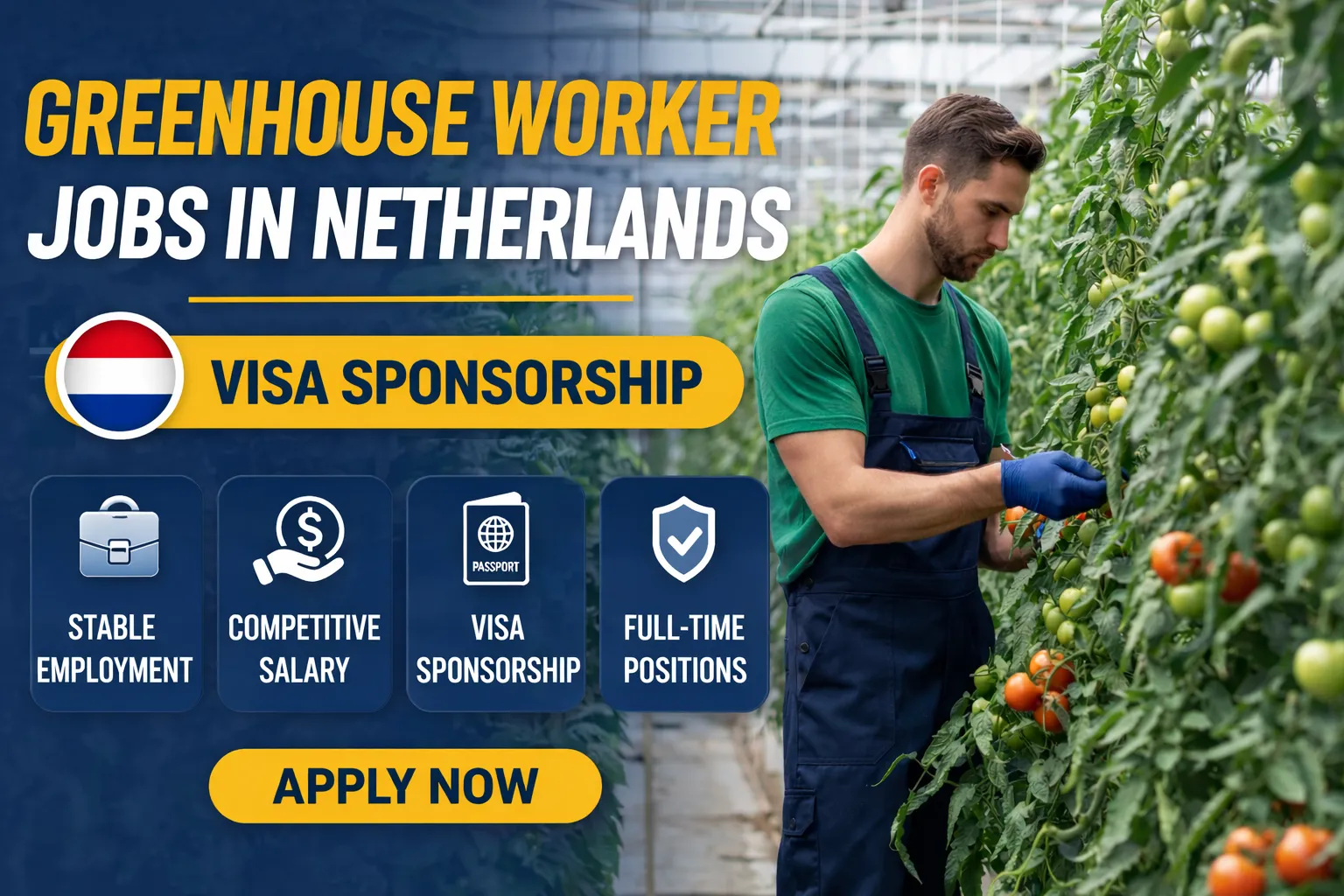 Greenhouse Worker Jobs in the Netherlands with Visa Sponsorship